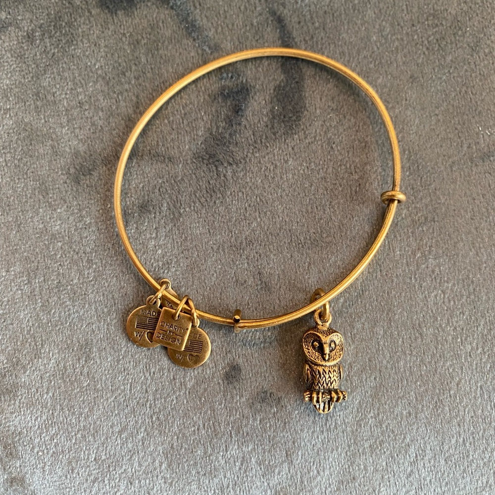 Alex and Ani Owl Bracelet